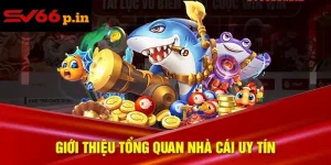 KUBET có lừa đảo không