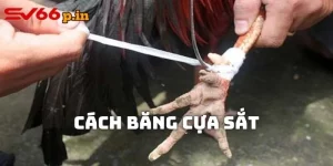 Cách băng cựa sắt