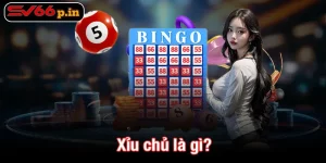 Xỉu chủ là gì